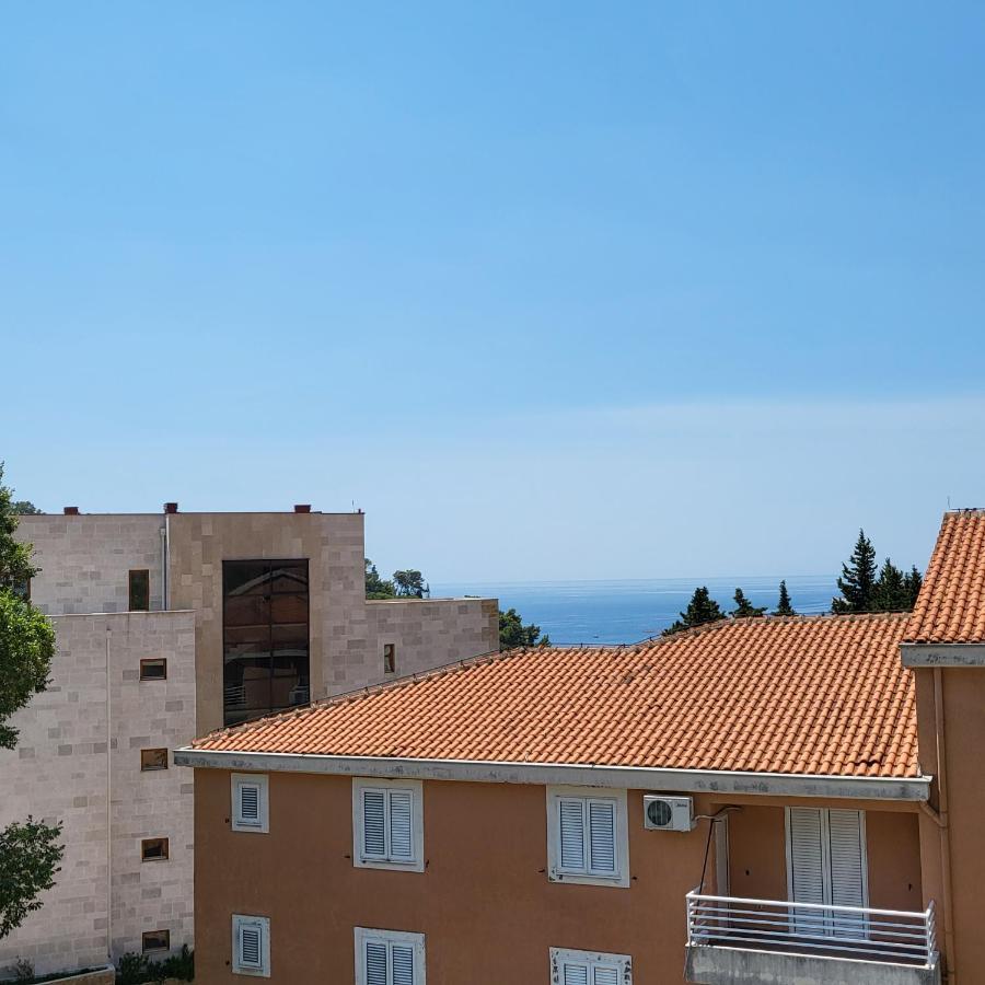 Apartmani Mia Sorajic Petrovac Екстер'єр фото